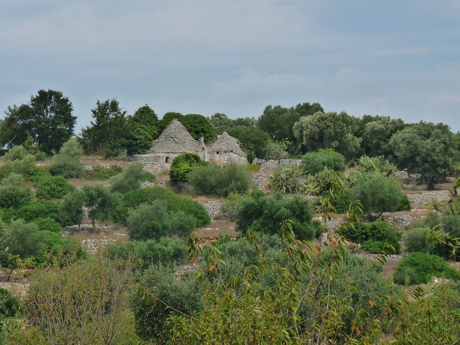 Trulli in pietra a secco tra terrazzamenti e ulivi nella campagna di Ceglie Messapica